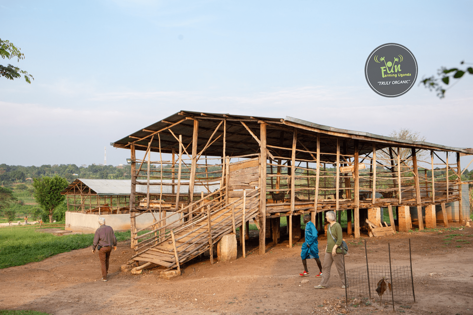 Goat Housing at Fun farming uganda